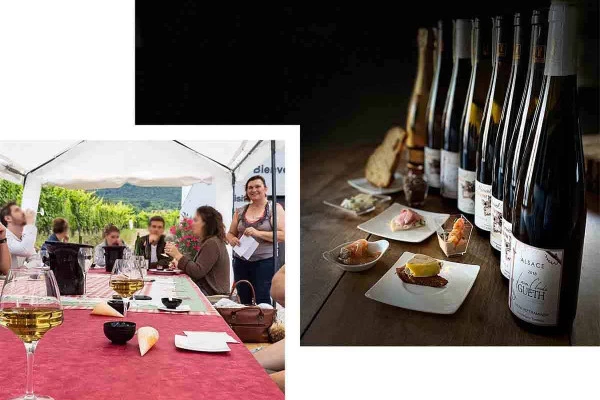 Apéro Gourmand chez le Vigneron Indépendant - Vins de Terroirs et Vieilles Vignes - Bonjour Alsace