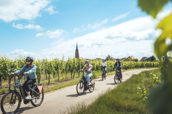 Balade à vélo sur la Route des Vins - Bonjour Alsace
