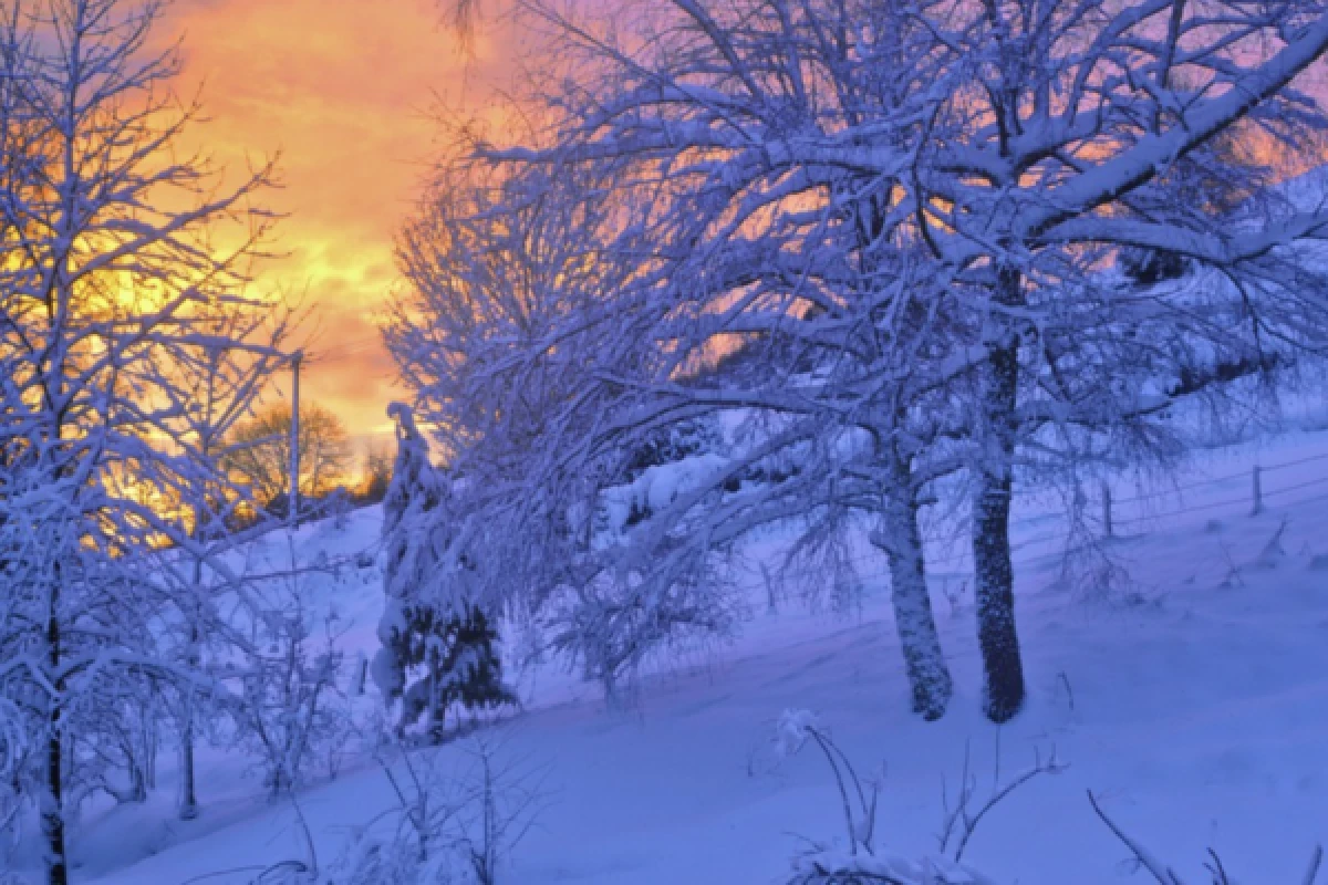 Balade en raquettes à neige à la découverte de Gérardmer - Bonjour Alsace