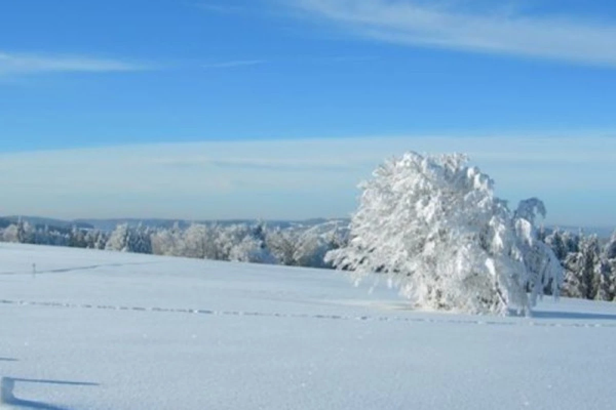 Balade en raquettes à neige à la découverte du col de la Schlucht - Bonjour Alsace