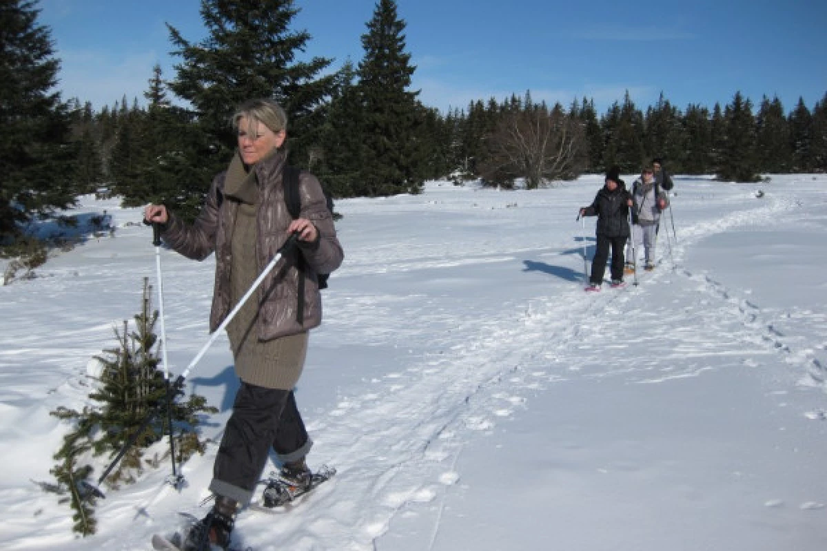 Balade en raquettes à neige à la découverte du Rossberg - Bonjour Alsace