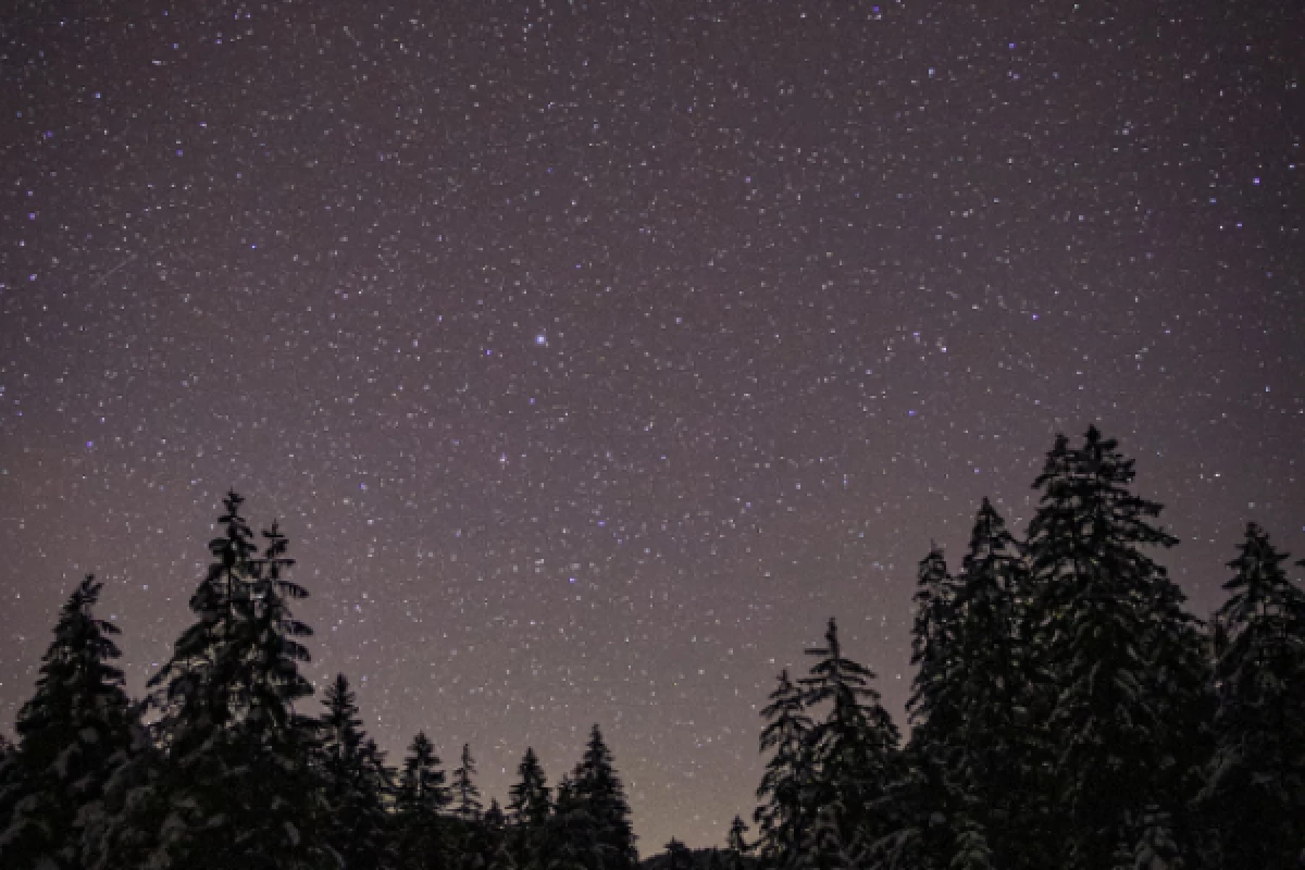 Balade en raquettes à neige au Markstein (Nocturne) - Bonjour Alsace