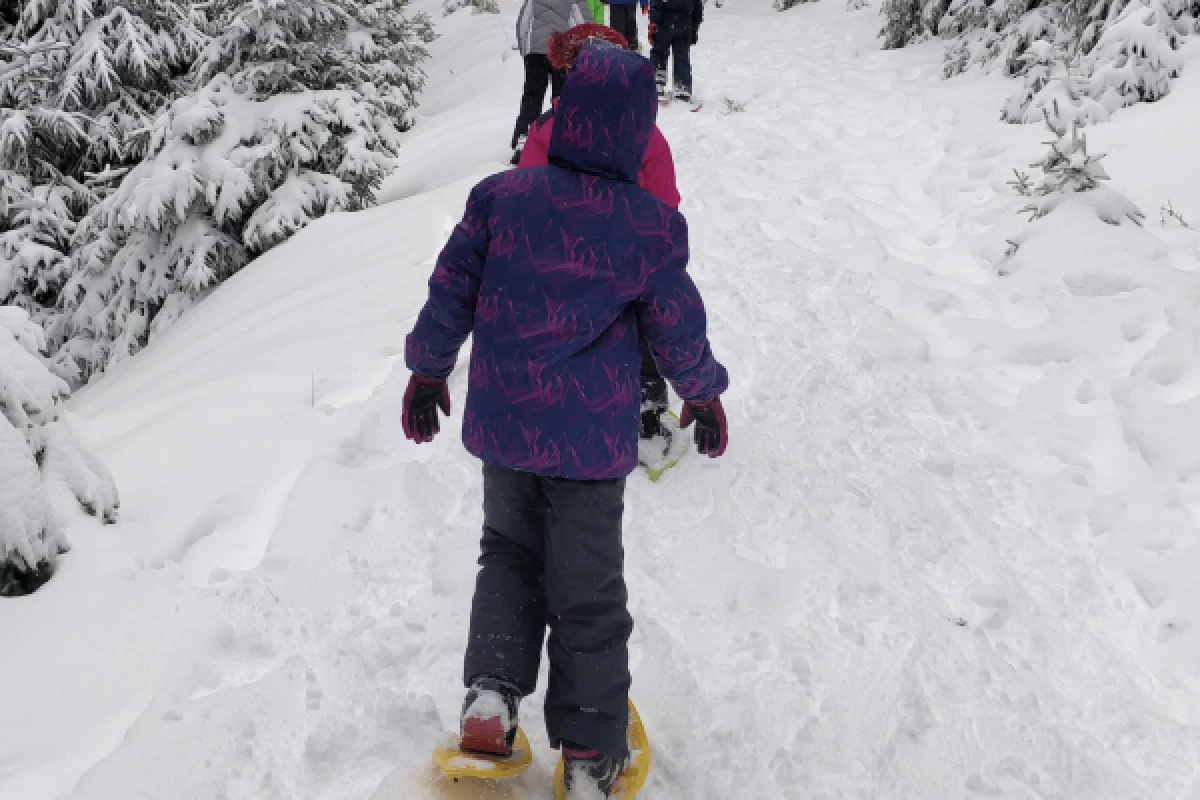 Balade en raquettes à neige avec construction d’igloo - Bonjour Alsace