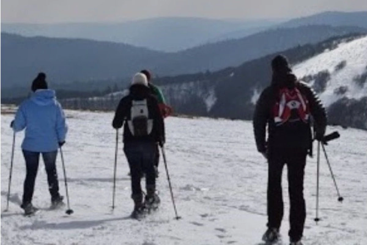 Balade en raquettes à neige avec pique-nique - Bonjour Alsace