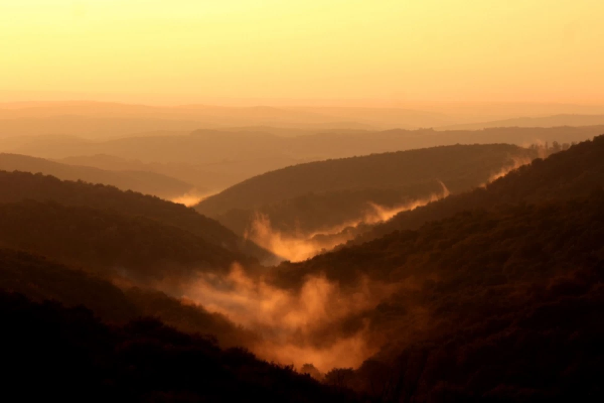 Balade en raquettes à neige coucher du soleil et dîner - Bonjour Alsace