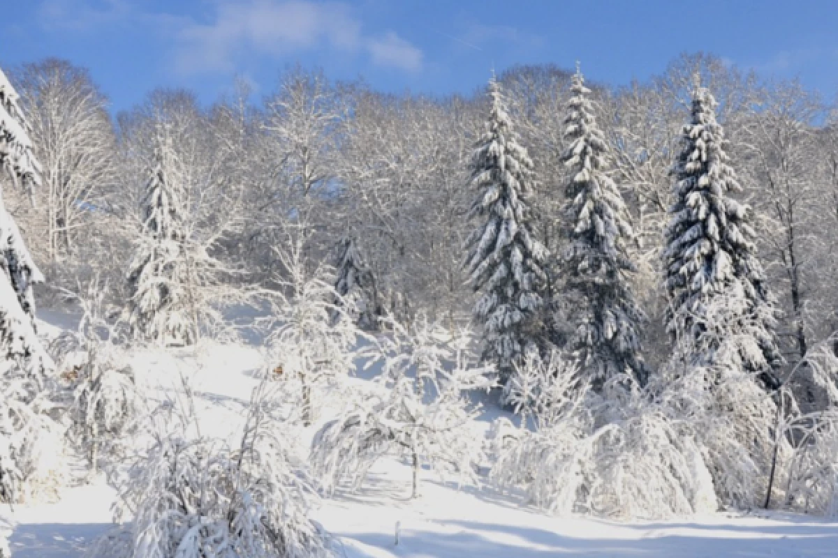 Balade en raquettes à neige découverte du Ballon Alsace - Bonjour Alsace