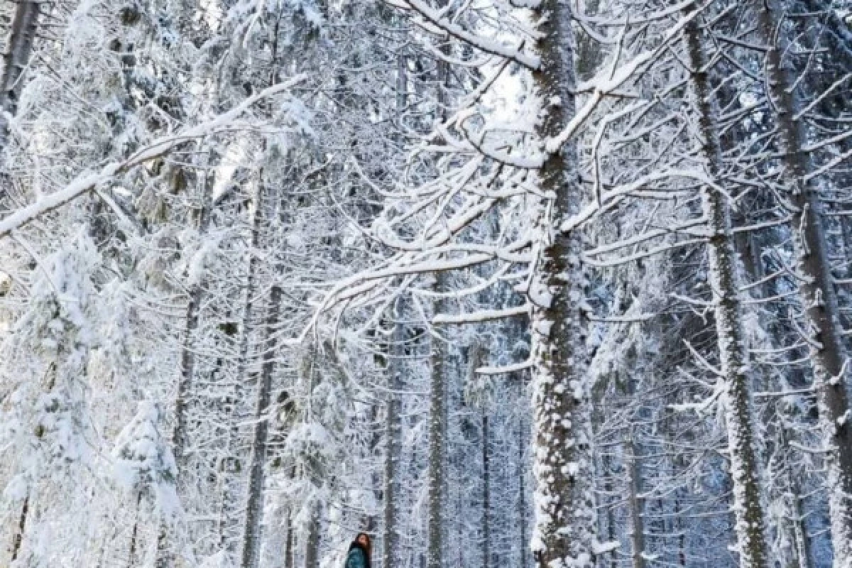 Balade en raquettes à neige découverte du Breitfirst - Bonjour Alsace