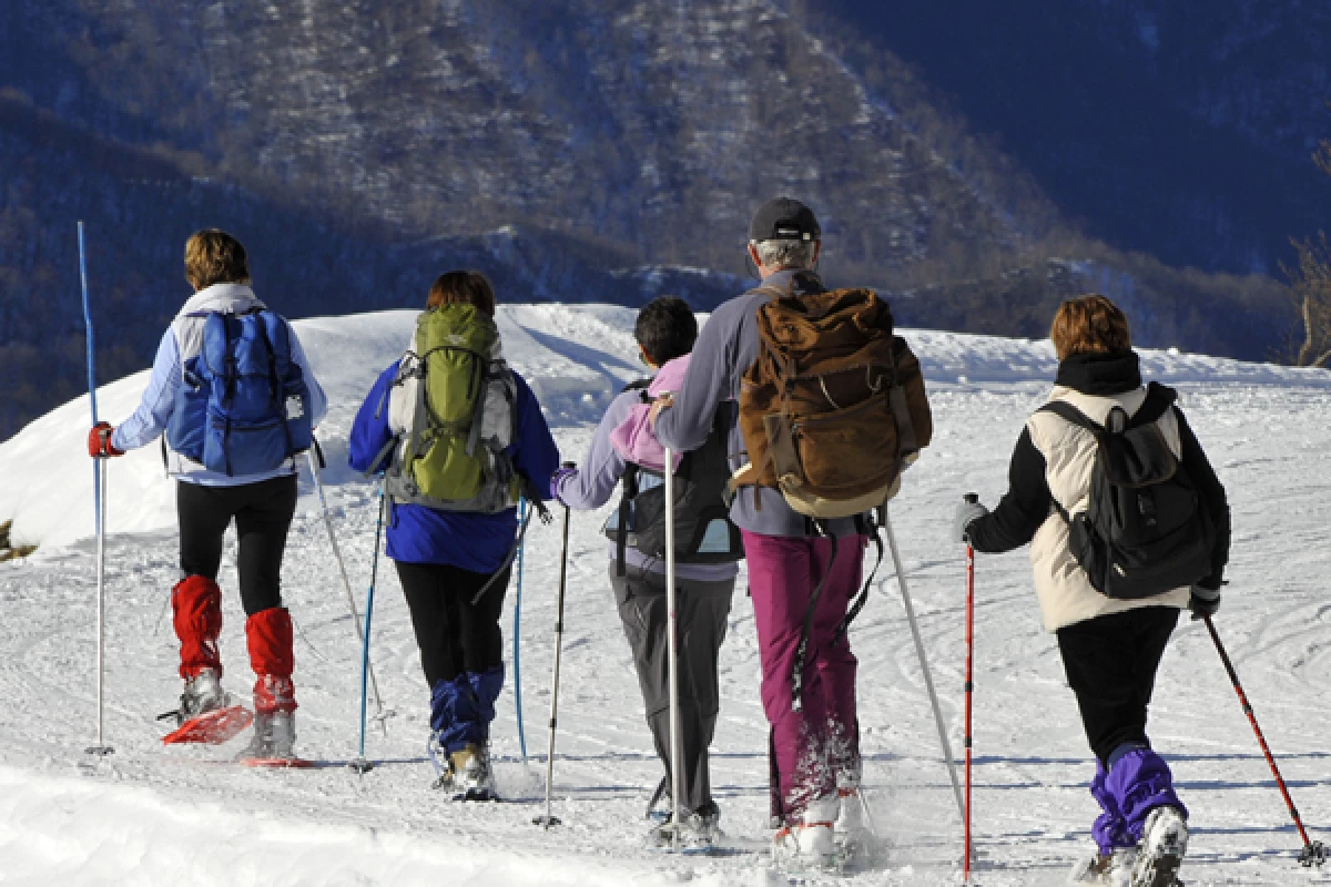 Balade en raquettes à neige découverte du Feldberg - Bonjour Alsace