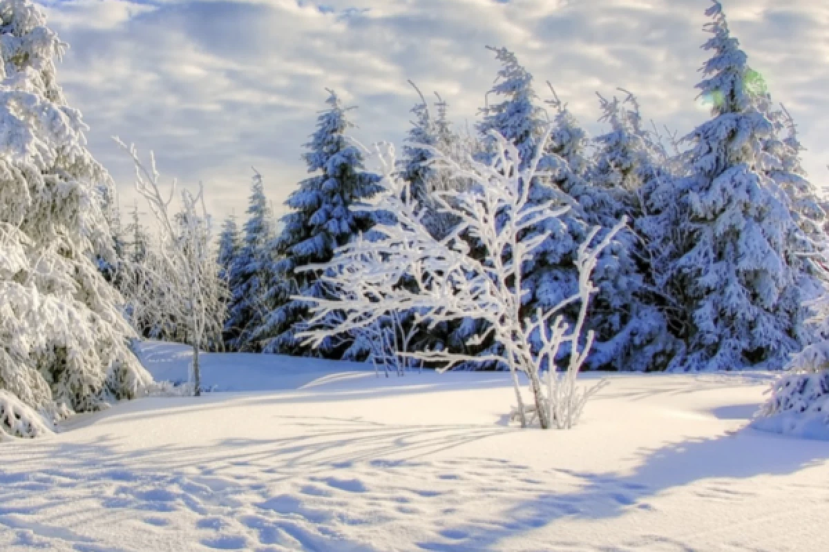 Balade en raquettes à neige découverte du Gaschney - Bonjour Alsace