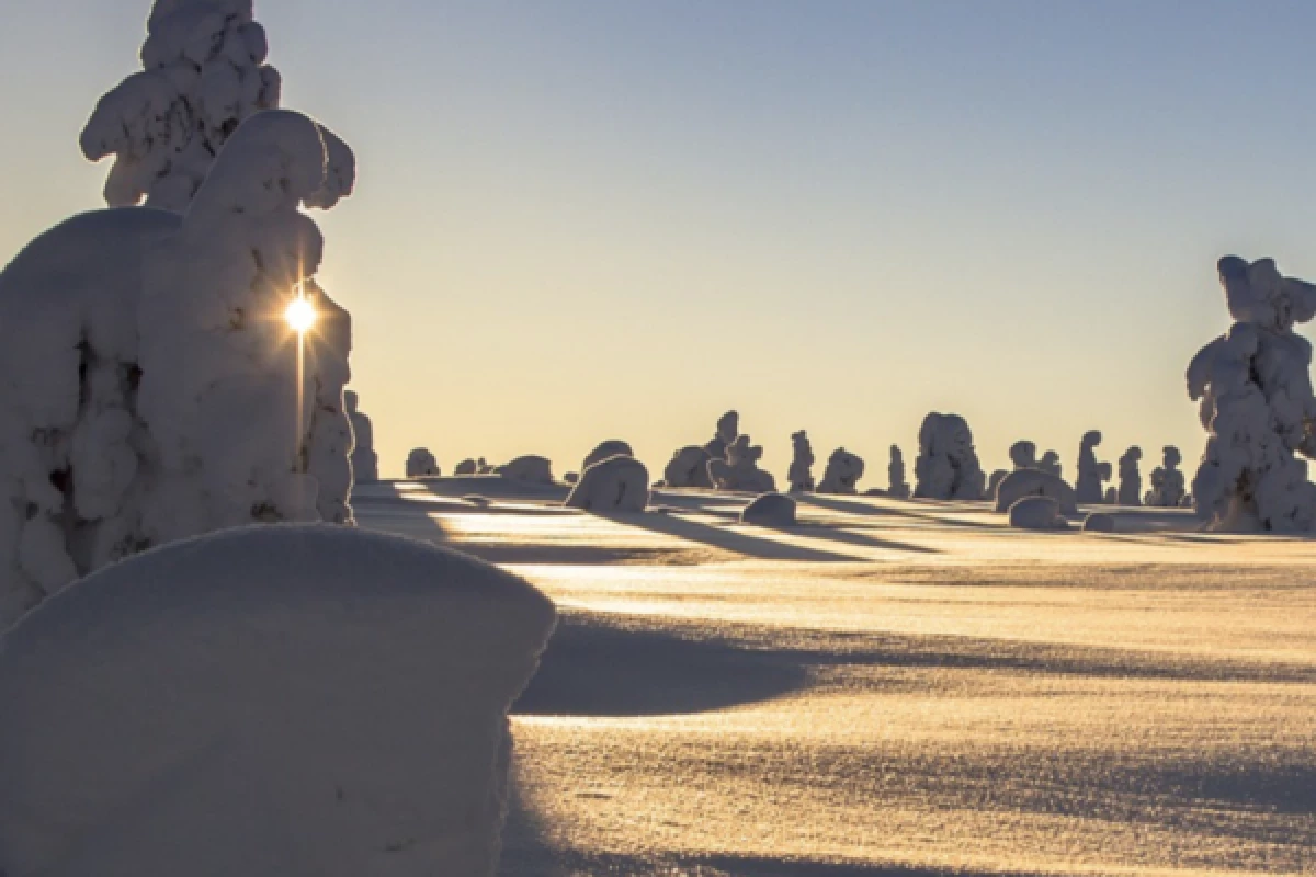 Balade en raquettes à neige découverte du Gaschney - Bonjour Alsace