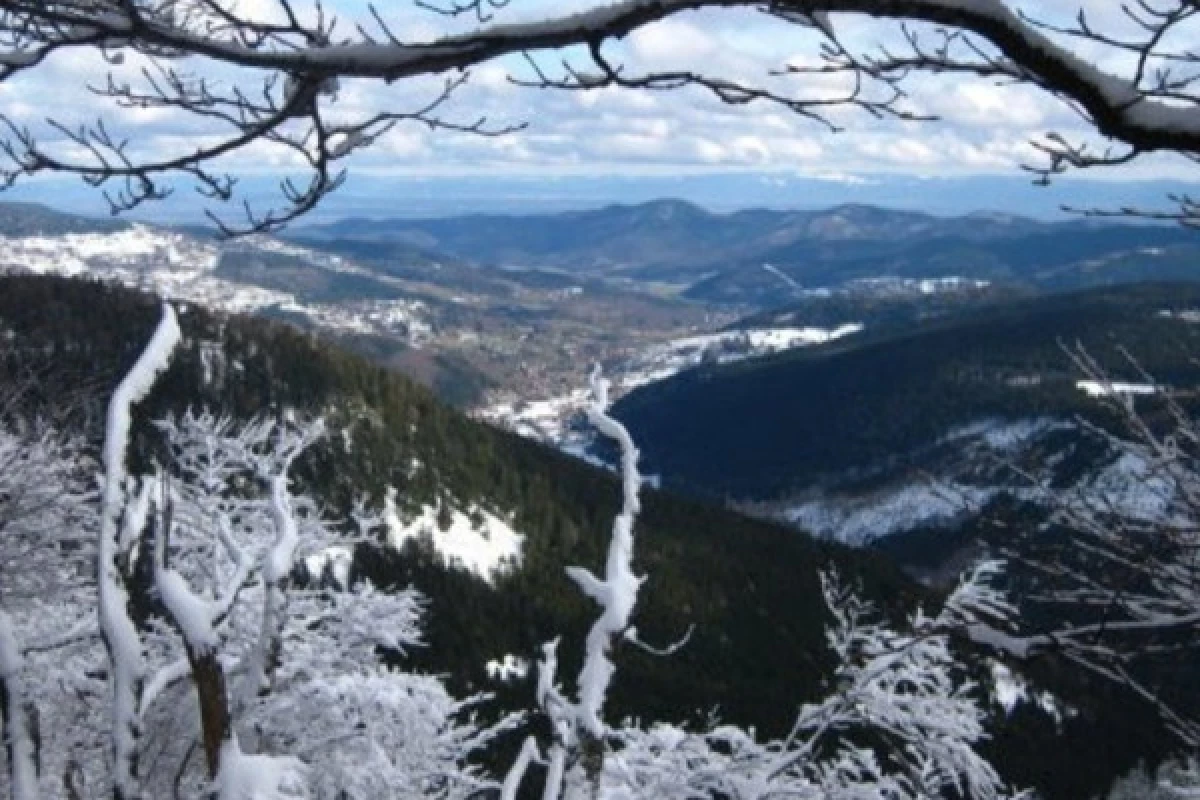 Balade en raquettes à neige découverte du Grand Ballon - Bonjour Alsace