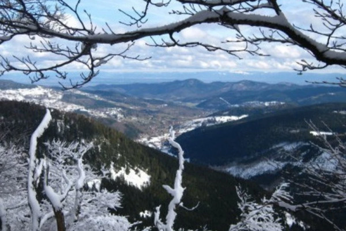 Balade en raquettes à neige découverte du Grand Ballon - Bonjour Alsace