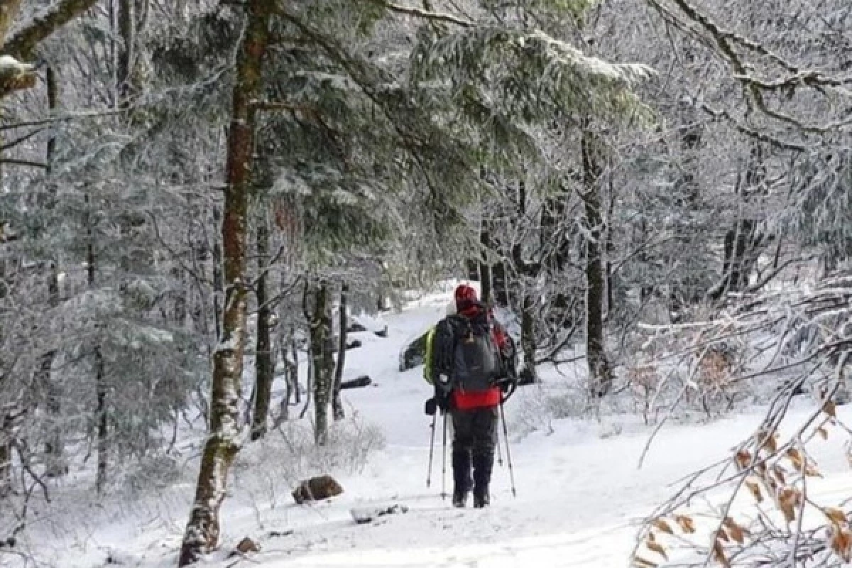 Balade en raquettes à neige découverte du Rouge Gazon - Bonjour Alsace