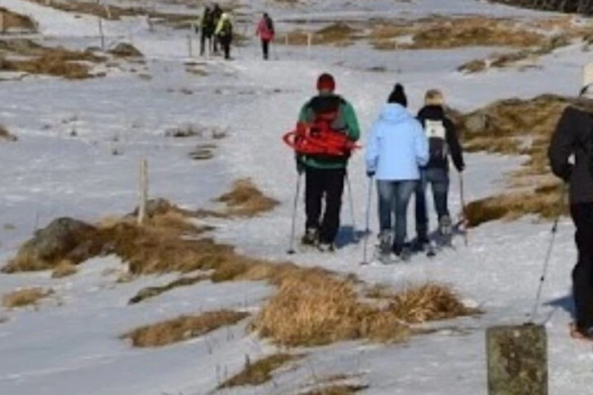 Balade en raquettes à neige découverte du Tanet - Bonjour Alsace