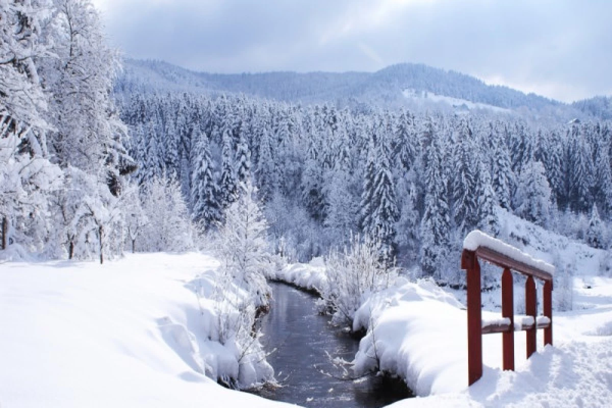 Balade en raquettes à neige découverte du Ventron - Bonjour Alsace