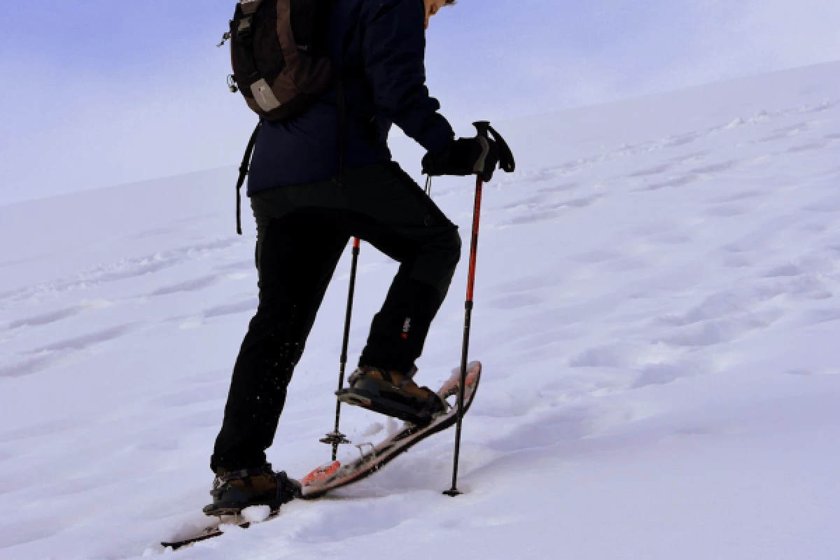 Balade en raquettes à neige - Bonjour Alsace