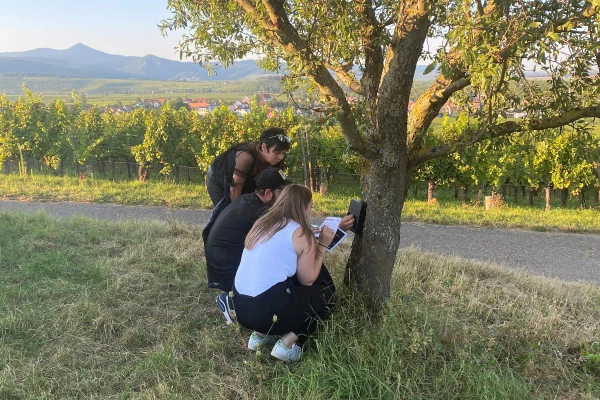 Chasse au Trésor dans le vignoble du Marckrain - Bonjour Alsace