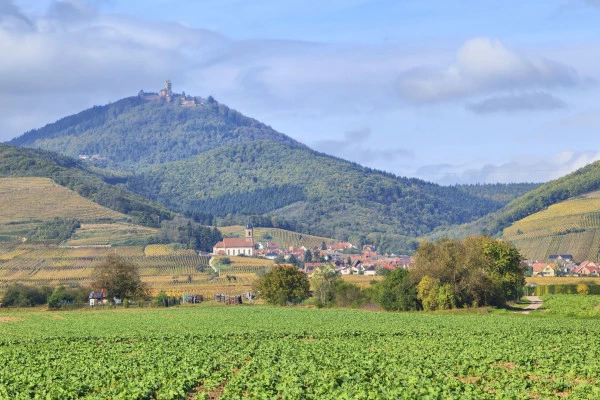 CHASSE AUX TRÉSORS ORSCHWILLER (À PIED) - Bonjour Alsace