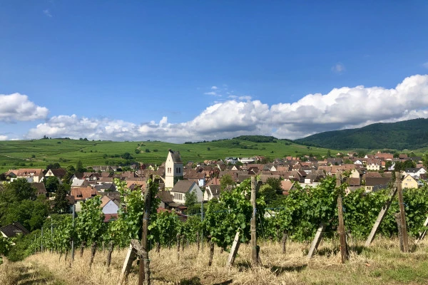 Découverte vigneronne : l'âme d'un domaine - Bonjour Alsace