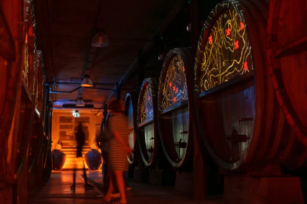 Dégustation de 5 vins et visite de cave immersive - Bonjour Alsace