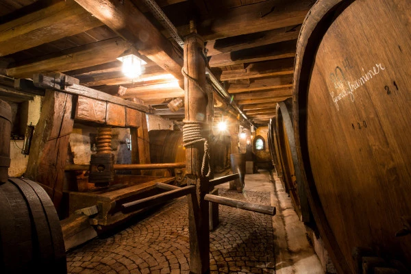 Dégustation de 8 vins et visite de notre vieille cave. - Bonjour Alsace