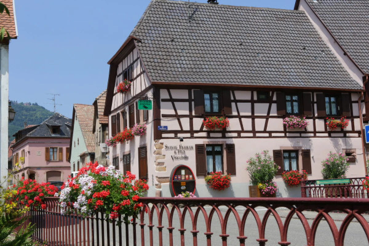 Dégustation en amoureux (vin, fromage et chocolat) - Bonjour Alsace