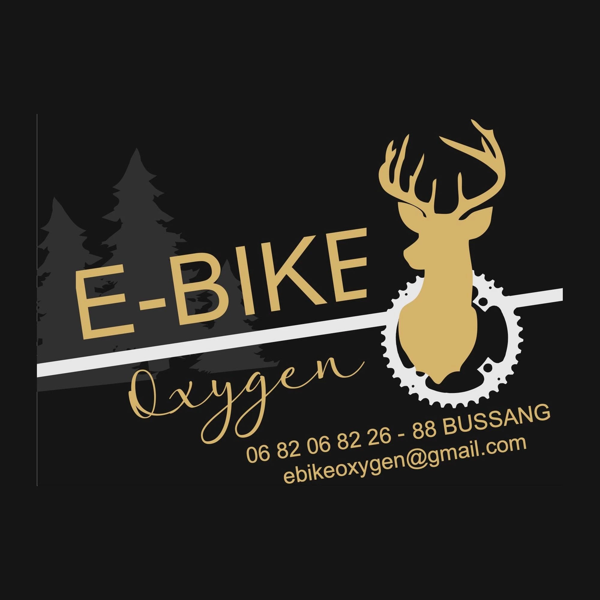 Ebike Oxygen - Bonjour Alsace