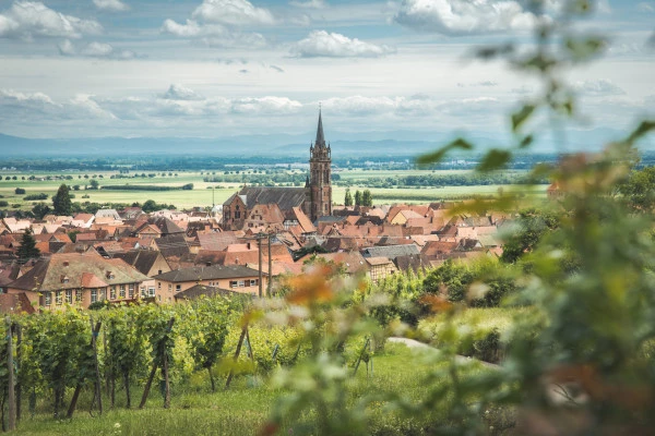 Excursion d'une demi-journée sur la Route des Vins - Bonjour Alsace