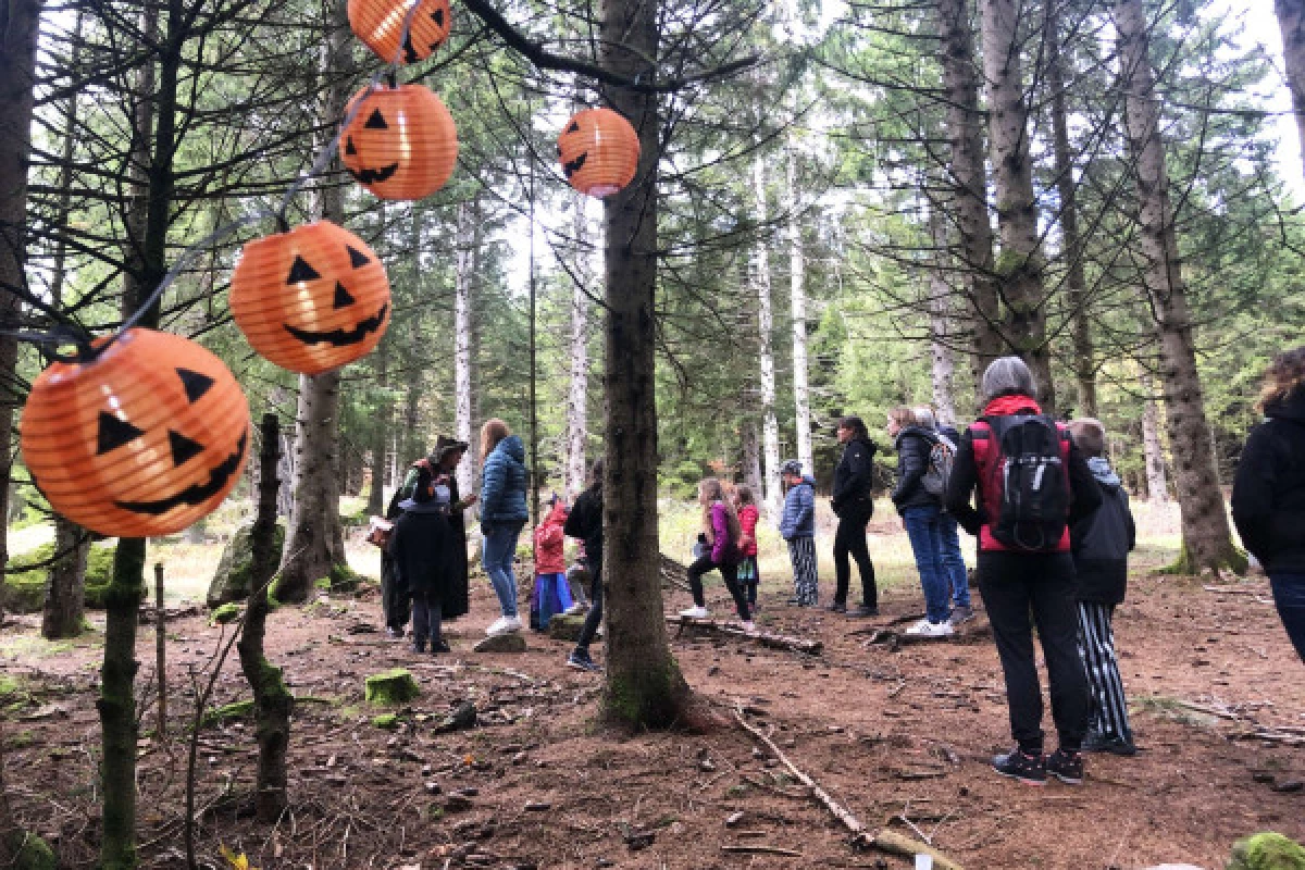 Halloween au sentier ludique - Bonjour Alsace