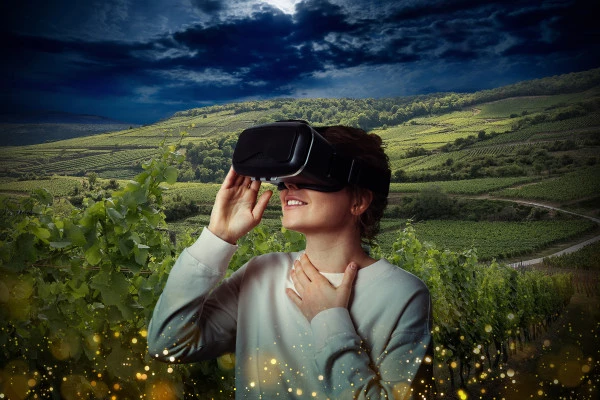Immersion en Réalité Virtuelle 360° - Bonjour Alsace