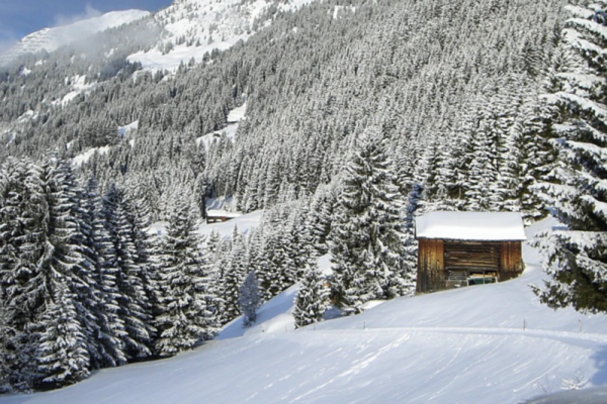 Journée en raquettes à neige du Markstein au Storkenkopf - Bonjour Alsace