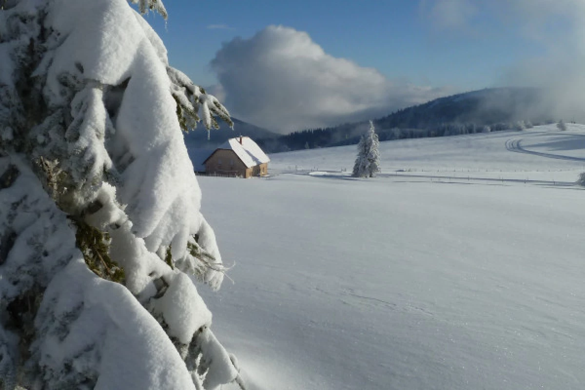 Journée en raquettes à neige - Bonjour Alsace