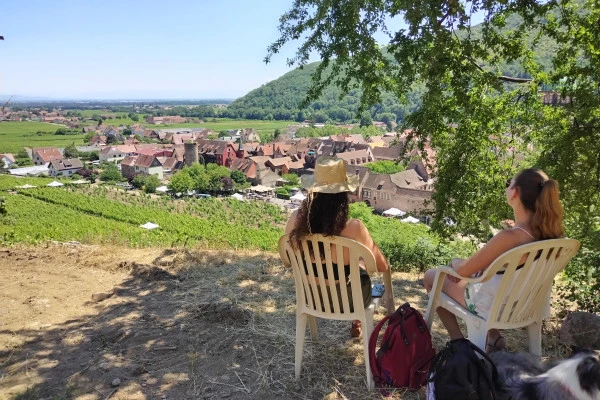 KIENTZHEIM #3 - Atelier - Découverte des terroirs calcaires de Kaysersberg Vignoble - Bonjour Alsace