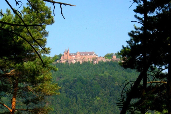 Le Mont Sainte Odile à la journée - Bonjour Alsace