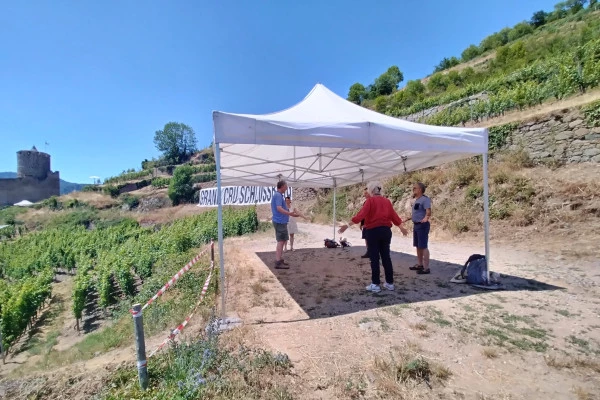 ORSCHWIHR #1 - Atelier - Yoga en pleine nature au coeur du Grand Cru - Bonjour Alsace