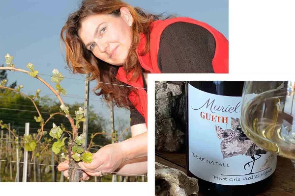 Osez le vin au féminin - Découverte Domaine Gueth - Bonjour Alsace