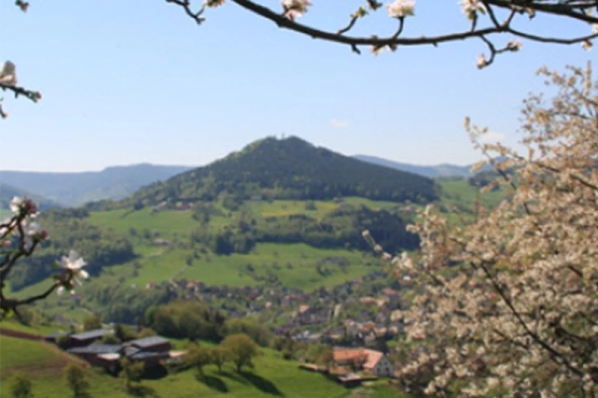 Randonnée le tour d'horizon - Bonjour Alsace