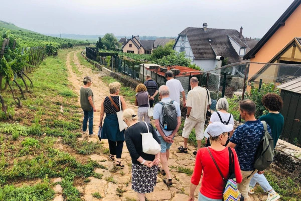 RIQUEWIHR #8 - Atelier Tournée des Terroirs - A la découverte du Grand Cru Schoenenbourg - Bonjour Alsace