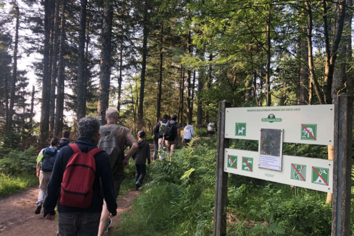 Sortie 'A la rencontre des chamois' - Bonjour Alsace