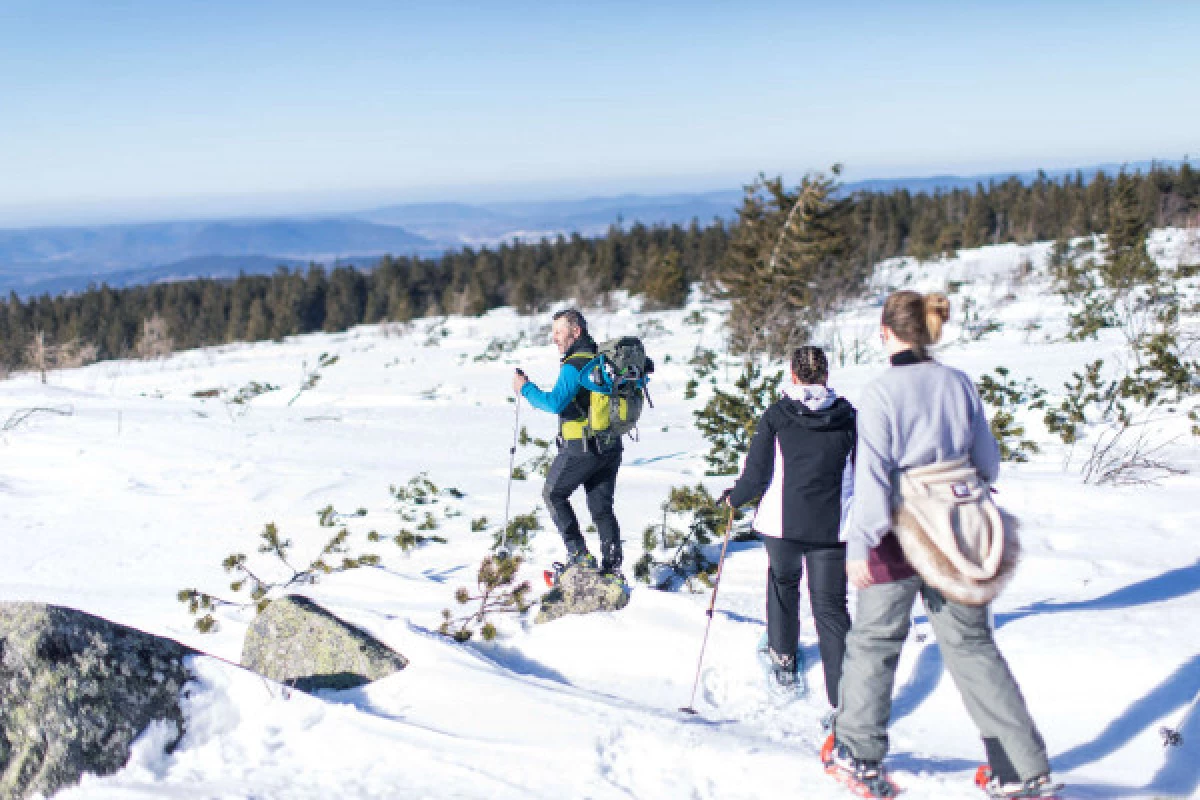 Sortie raquettes en famille - Bonjour Alsace