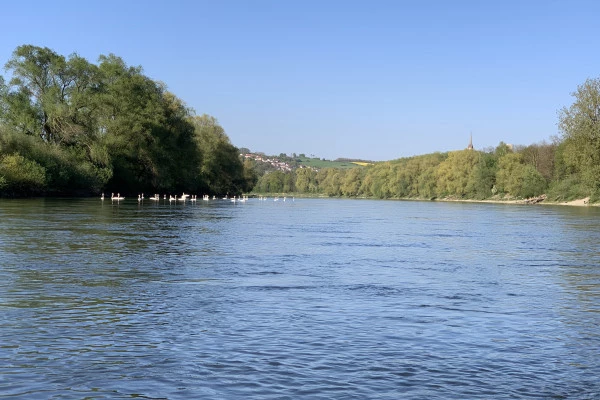 Stand Up Paddeling SUP Board inkl. Komplettausrüstung - Bonjour Alsace