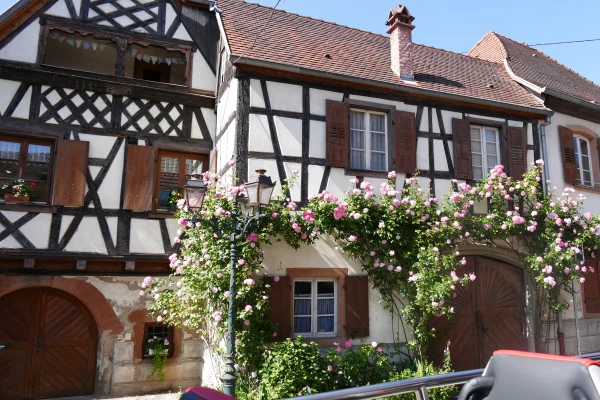 Tour Privé "Coeur d'Alsace" depuis Strasbourg - Bonjour Alsace
