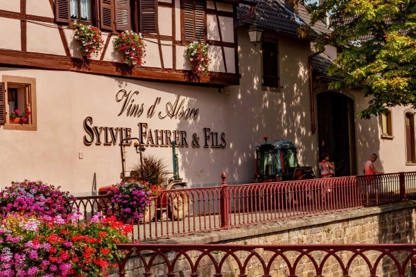 Visita guiada de bodega en Alsacia - Experiencia local - Bonjour Alsace