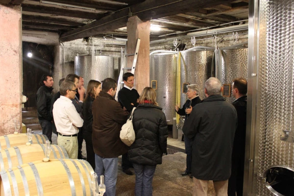 Visite de cave et découverte des vins d'Alsace - Bonjour Alsace