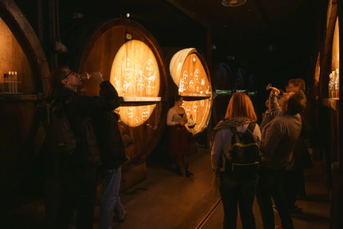 Visite de cave immersive, dégustation et repas planchette - Bonjour Alsace