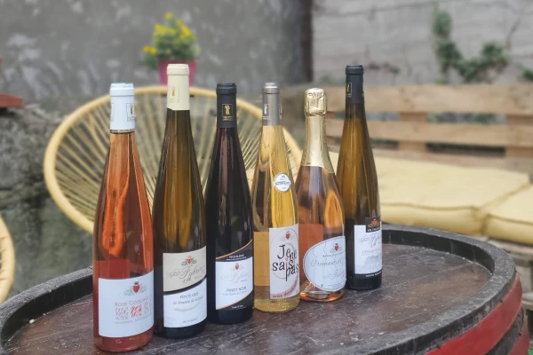 Visite guidée du domaine viticole en Alsace - Bonjour Alsace