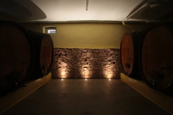 Visite traditionnelle & dégustation de vins - 5 cépages - Bonjour Alsace